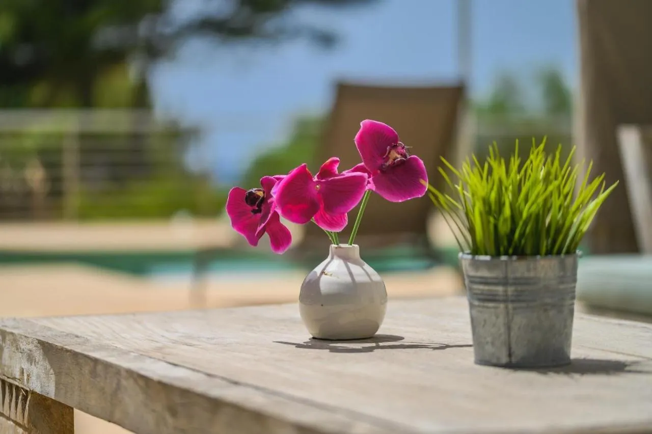 2550 Lichtdurchflutete Villa In Santa Ponsa Nova 0*,